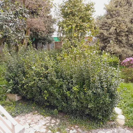 La Lomba Loft * Vilagarcia de Arousa